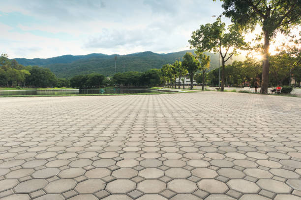 Best Professional Driveway Pavers  in Homeacre Lyndora, PA